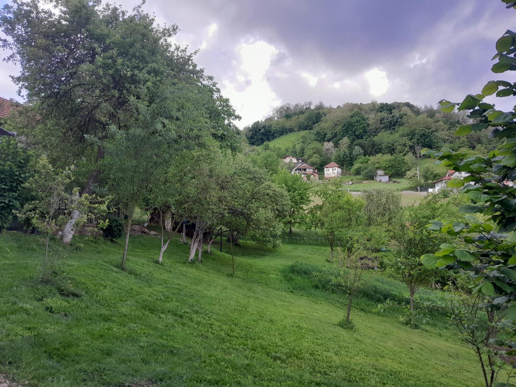 Tesanj Dolores מראה חיצוני תמונה