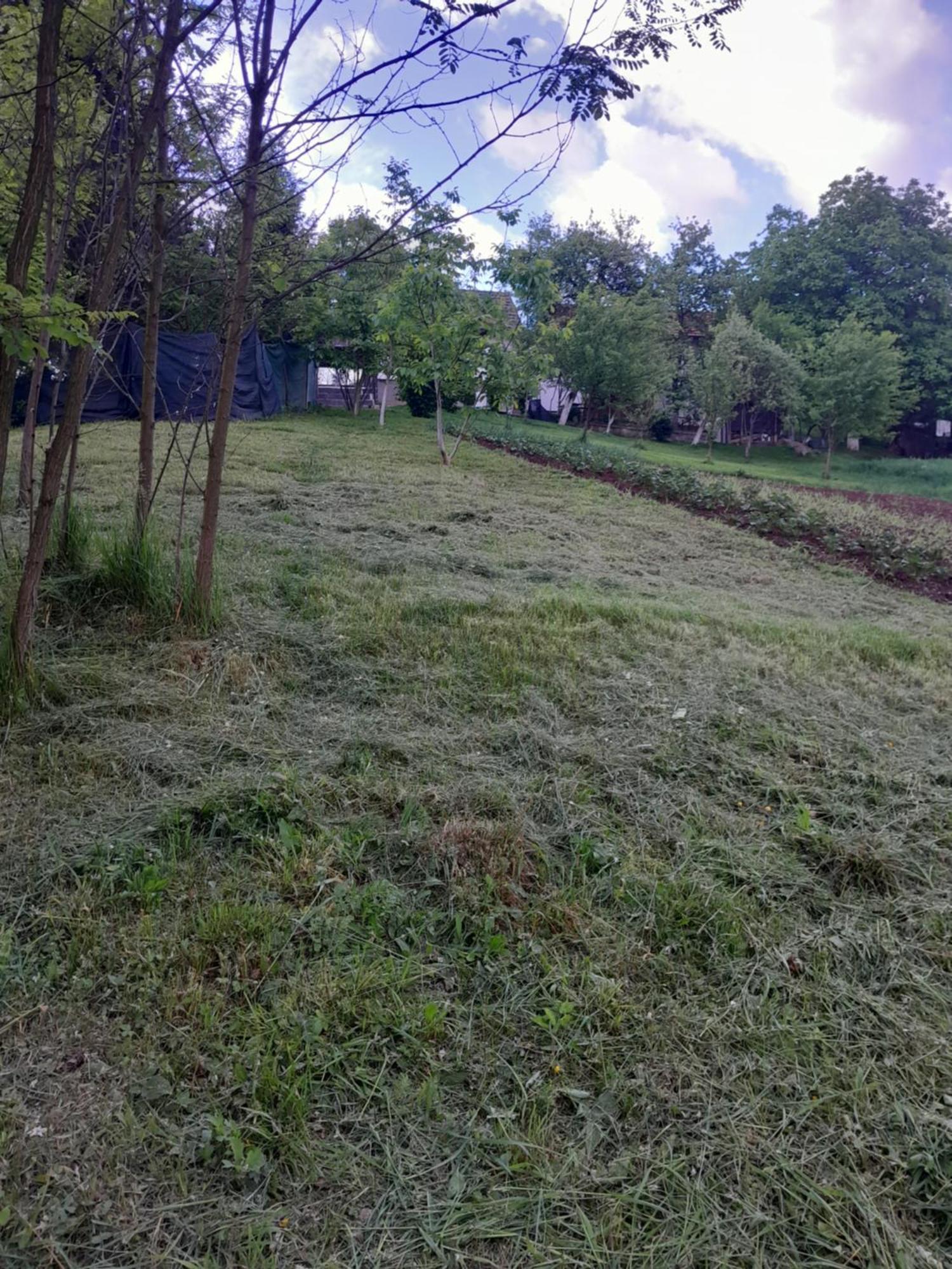 Tesanj Dolores מראה חיצוני תמונה