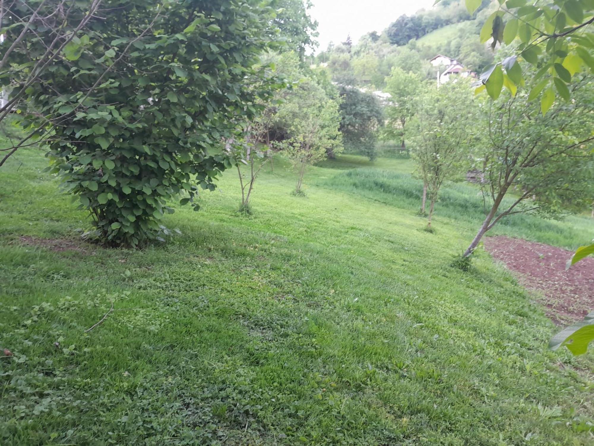 Tesanj Dolores מראה חיצוני תמונה